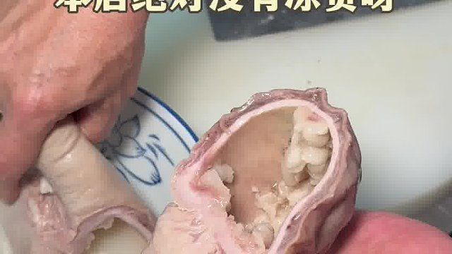 广东汕头2480一碗的猪肚汤！