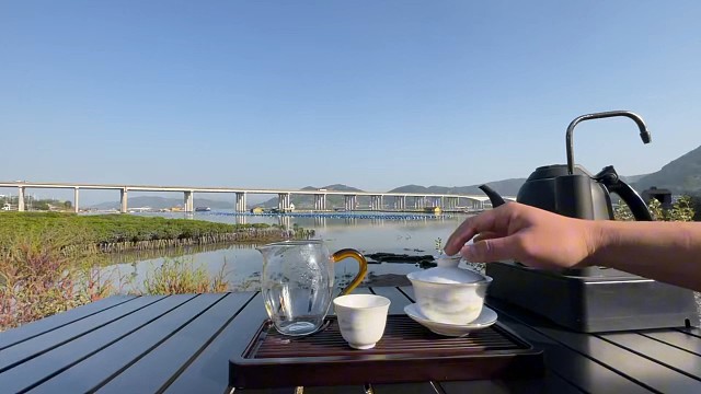 四时茶叙|福鼎白茶