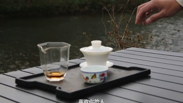 四时茶叙|福鼎白茶
