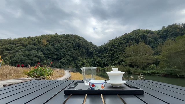 四时茶叙|福鼎白茶
