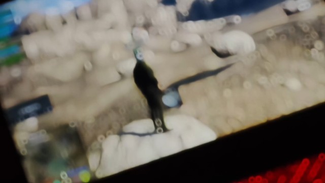 #fivem幻境警察LSPD招人