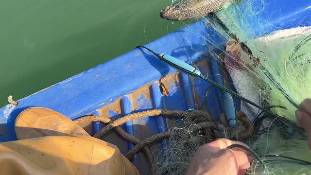 捕鱼的快乐，不在于收获多少，而在于与河共舞，感受那份自由与宁静。