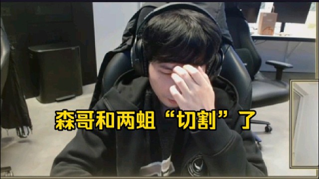 森哥：就如果打职业的话就不会去想那些东西，就专心打好职业吧先！