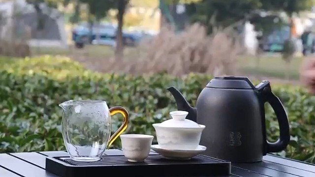 四时茶叙|福鼎白茶