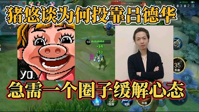 猪悠谈为何投靠吕德华？急需一个圈子缓解心态