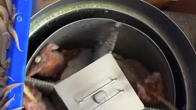 台湾整只炸鱿鱼  ​