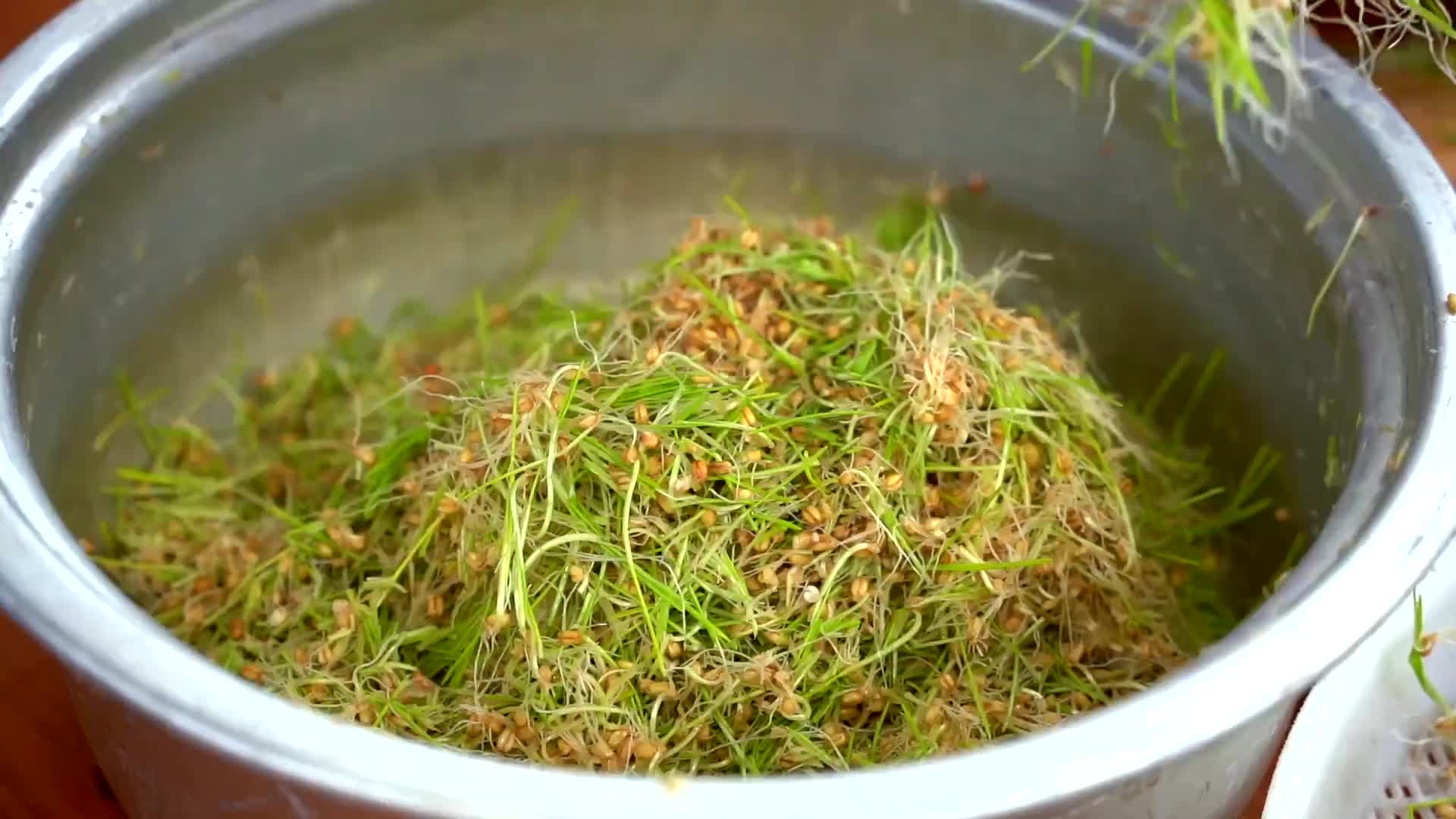 漳州农村大姐做麦芽糖6年，柴火灶大锅熬煮，麦芽和糯米做粮食糖