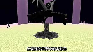 這綠洲啟元里面的末影龍真的是逆天！