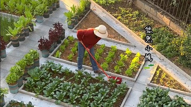 不打听别人事非，做自己喜欢的事