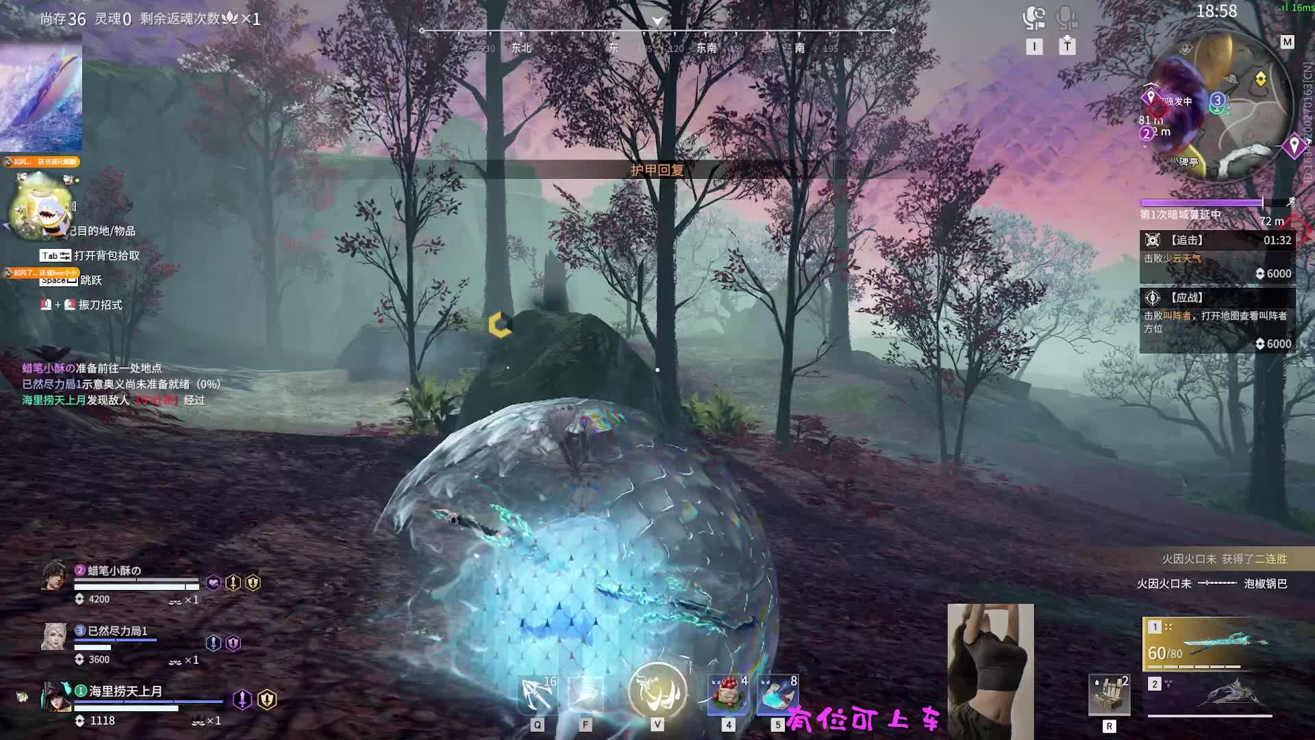 新主播放心宠没大哥~