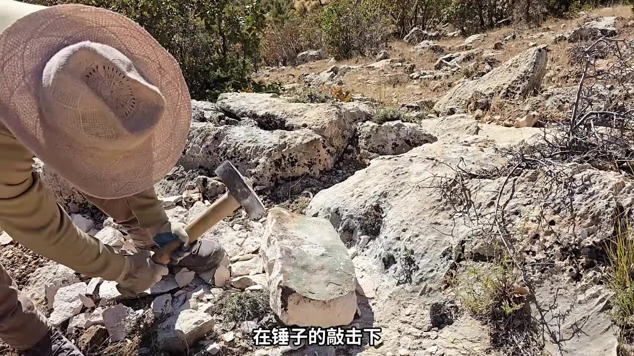 第1集：男人仅用一天时间，竟然在野外搭建出一个带壁炉的温暖小屋