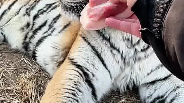 这不棒也得棒！