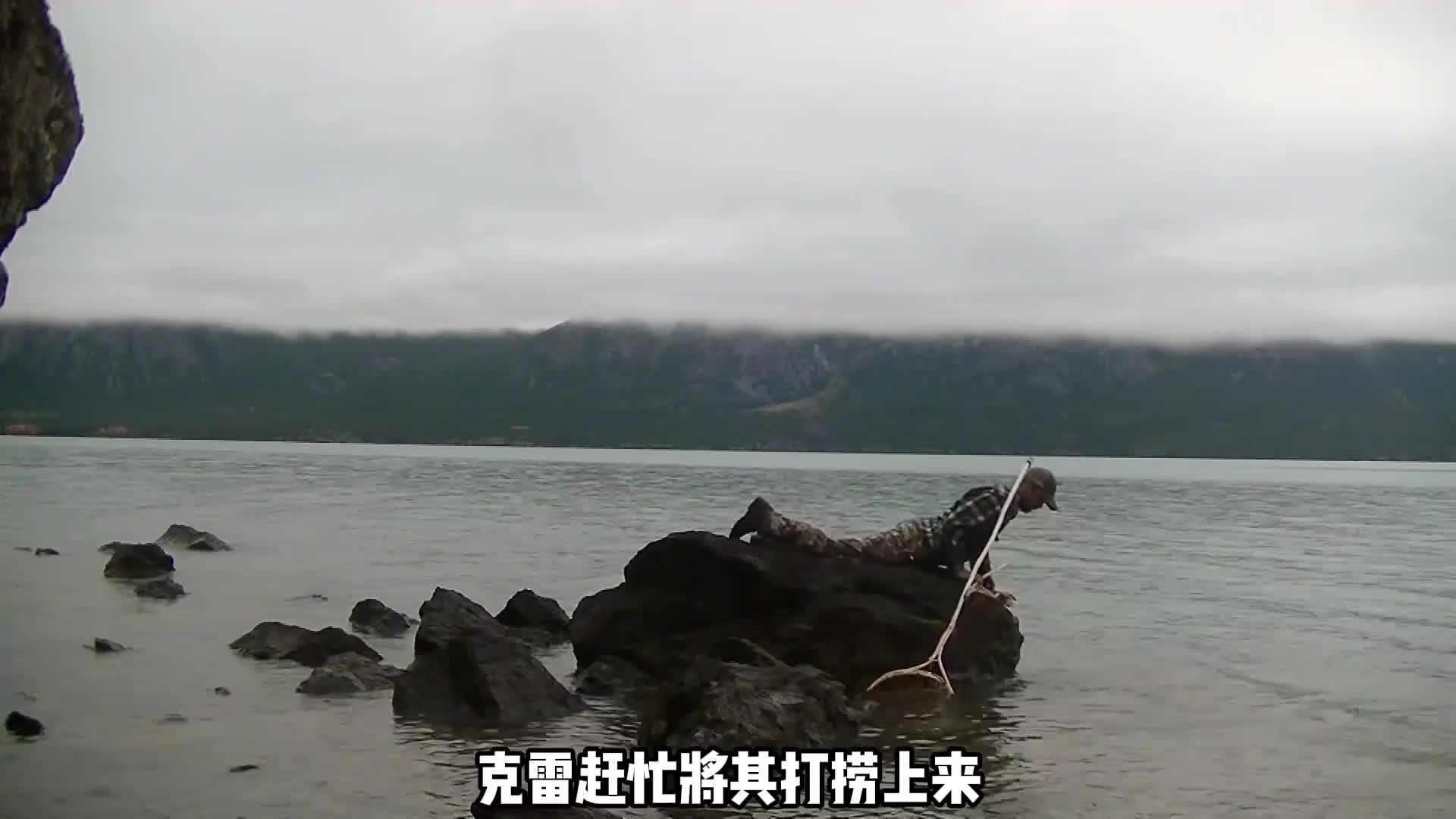 比赛就能带不能吃上盐这个问题本季选手给出了答案 (1)