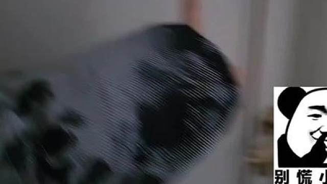 小酷被小金来了一个叫醒服务