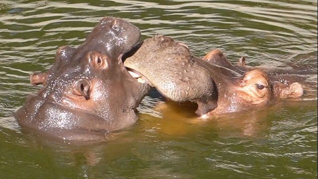 嗷妈妈可是不对的噢