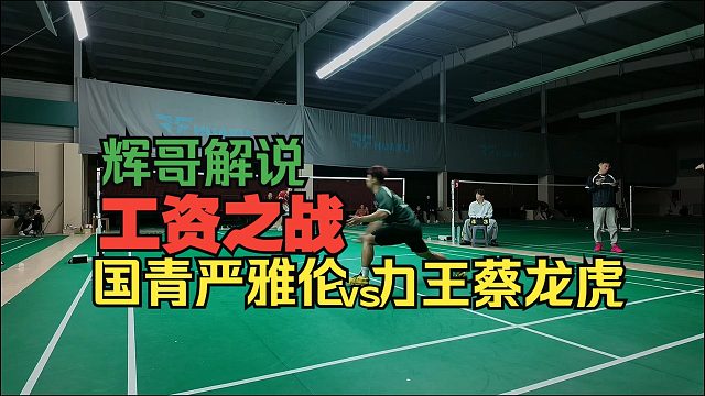 队内对抗 工资之战：原国青严雅伦（广东省队）对决 广西力王 蔡晓源 刘辉教练解说严选