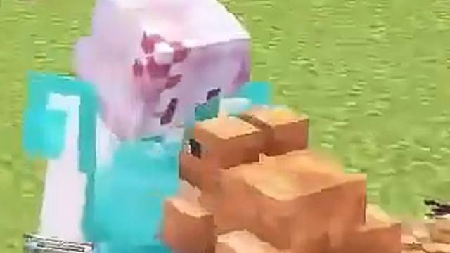 【桶子哥MC】变 呱 记