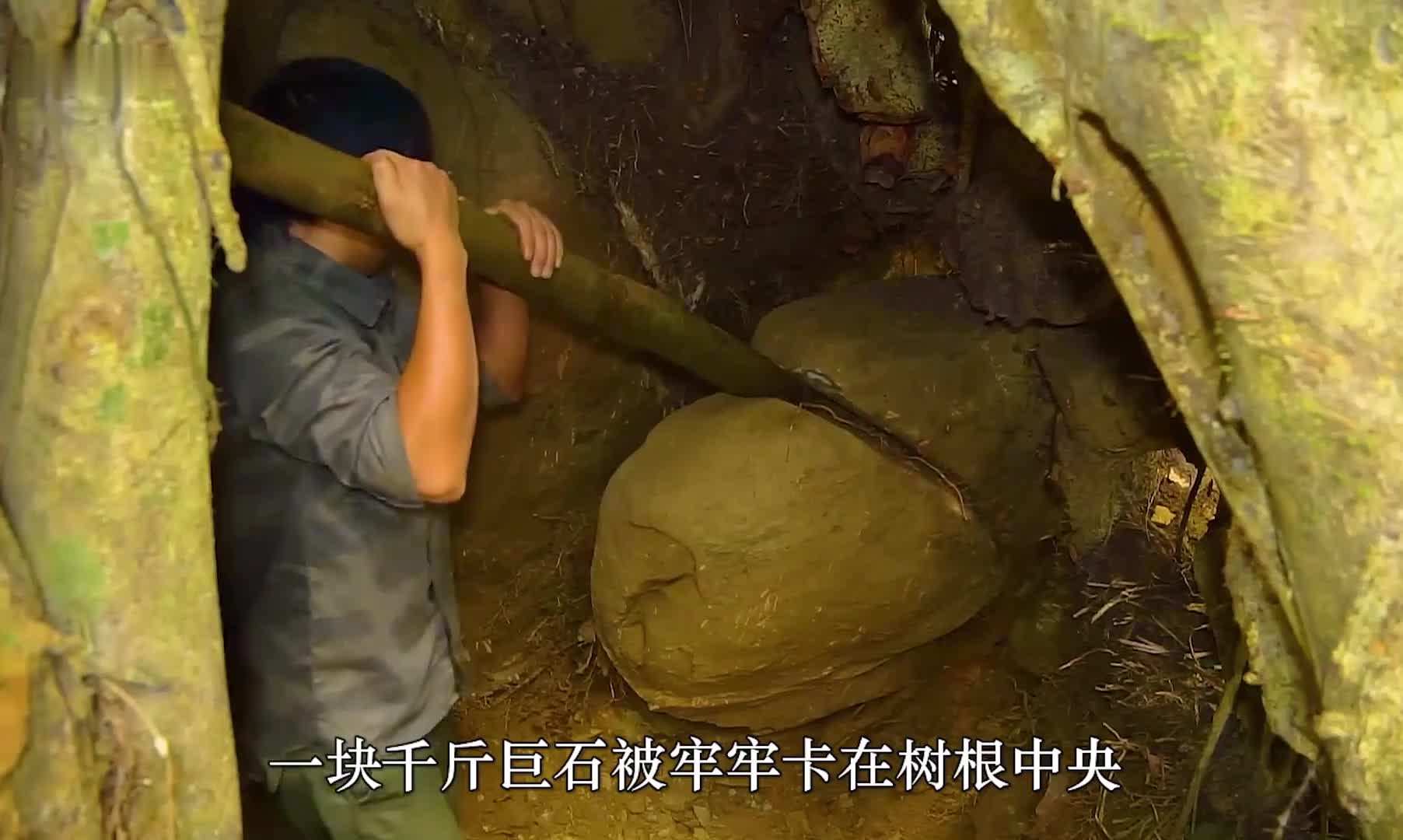 晨雾还未从雨林深处褪去志文便匆忙来到荒野 (1)