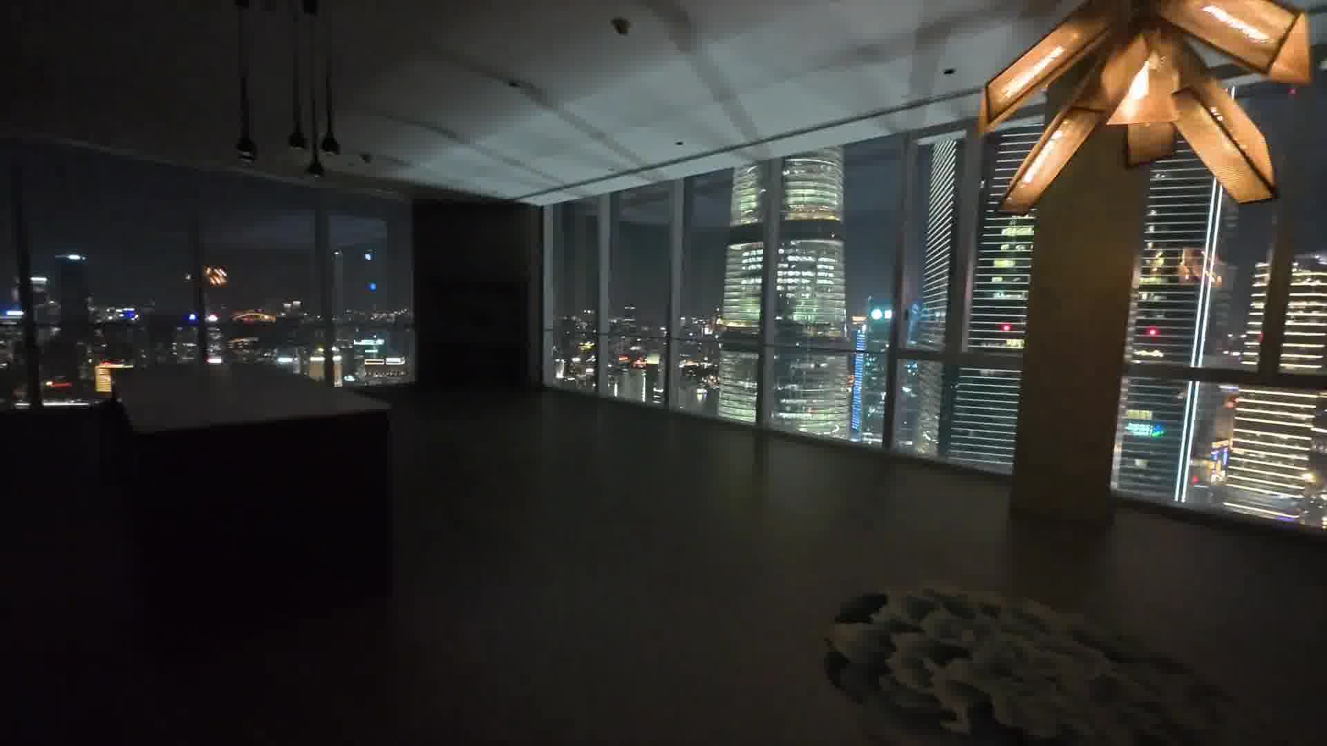 当灯关了这一刻，整个上海都是你的  ​