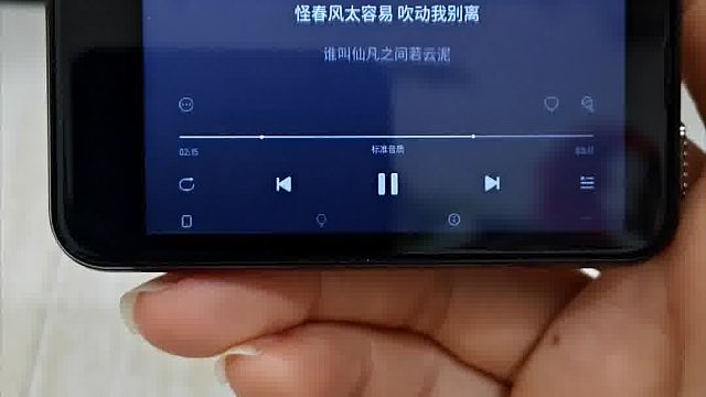 真的不是mp4...