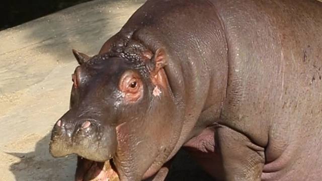 音乐早已深入灵魂