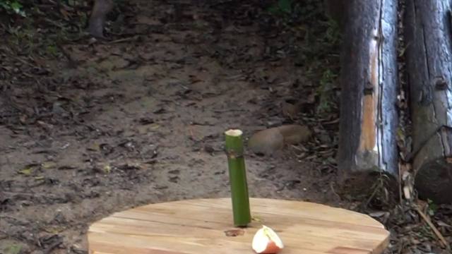 新餐桌首餐是甜甜的苹果，超满足