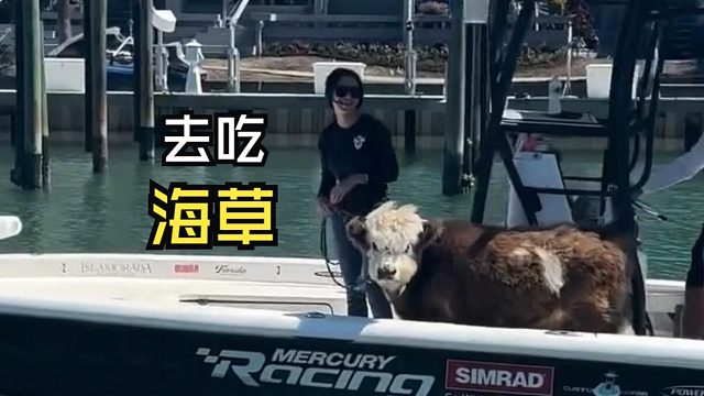 那些跟人偶遇的动物们！