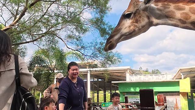 向长颈鹿勇敢的自我介绍