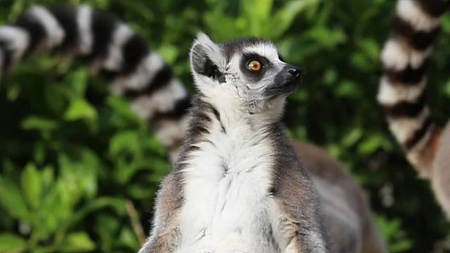 打坐不认真，白练一场功