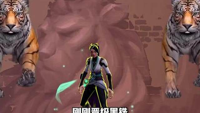 尚老师的架枪焚决来了！