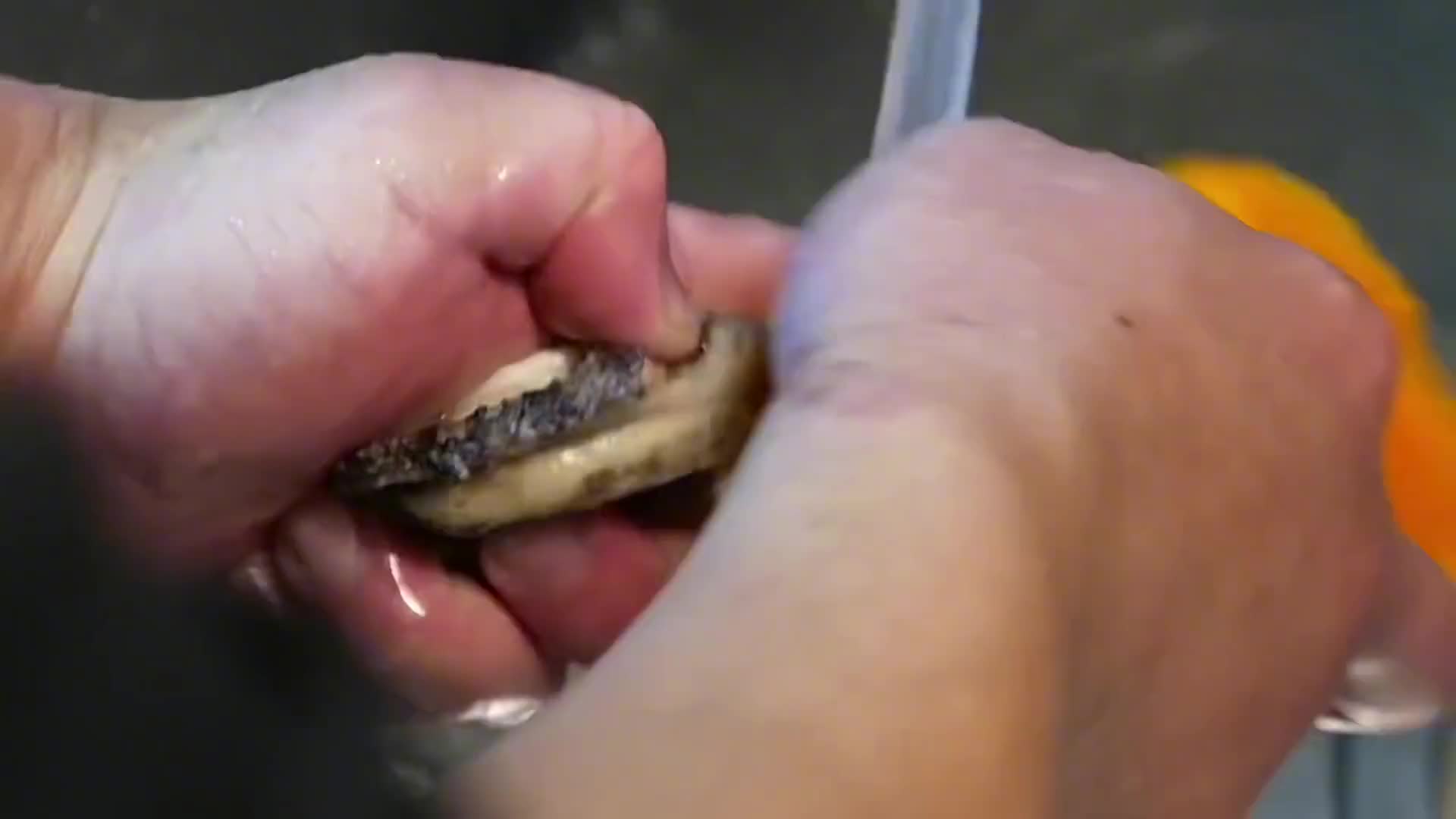 看完这你要你的好朋友请你吃一份。