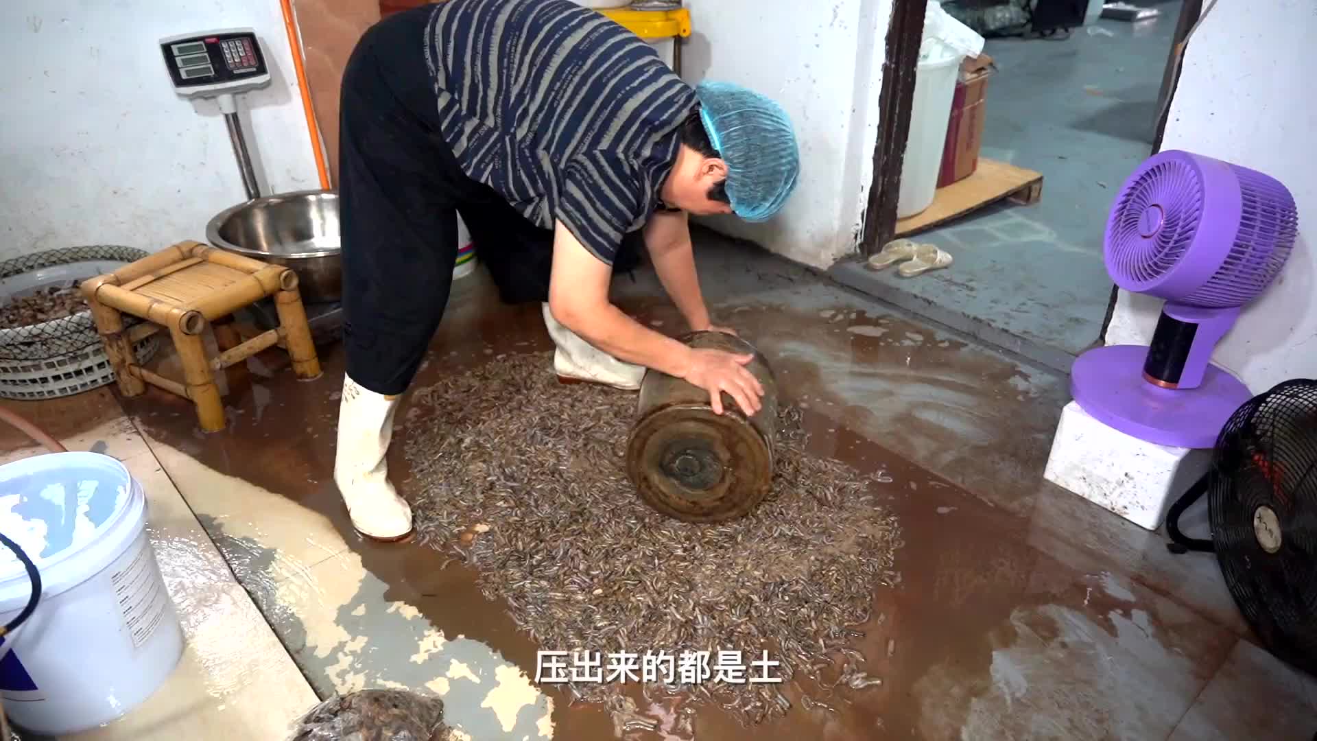 虫子做的海鲜果冻，漳州阿姨做了50年，闽南酒席上的非遗冷盘菜