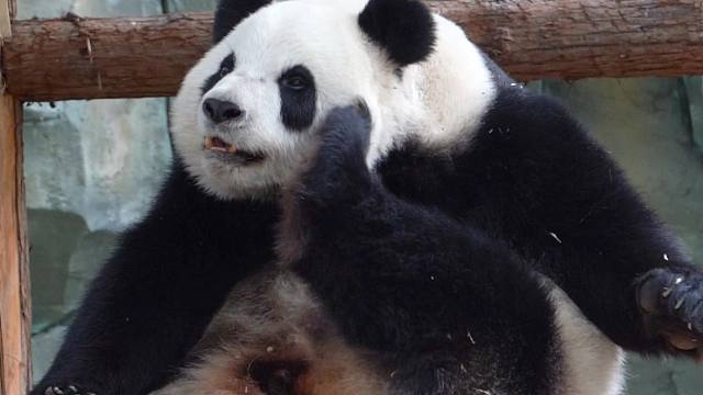 快说，昨晚去哪鬼混了