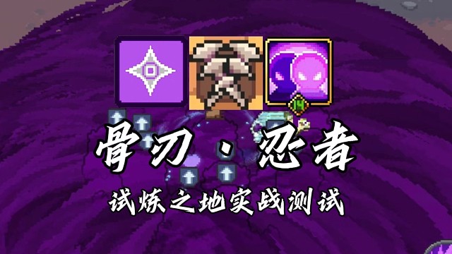 【元气骑士前传】骨刃·忍者 试炼之地实战测试