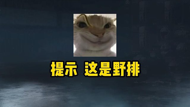 【老鼠人行动】航天基地（绝密）60w835w