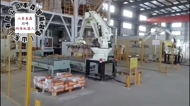 双抓码垛机器人#双线