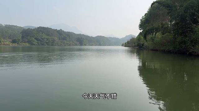 最近小鲫鱼还不错。