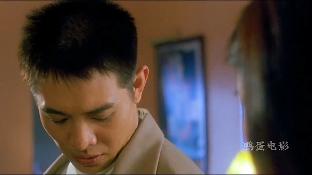 电影中南海保镖