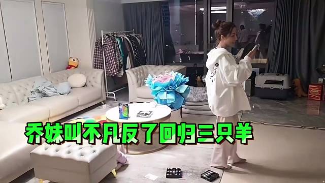 乔妹叫不凡反了小酷！回归三只羊！