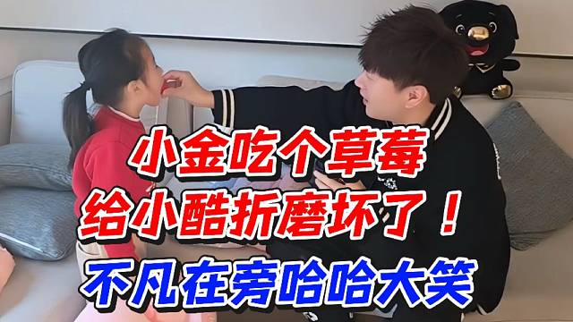 小金吃个草莓给小酷折磨坏了！不凡在旁哈哈大笑