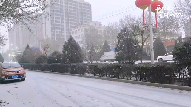 每一片雪花都是天空寄来的明信片，你收到了吗？
