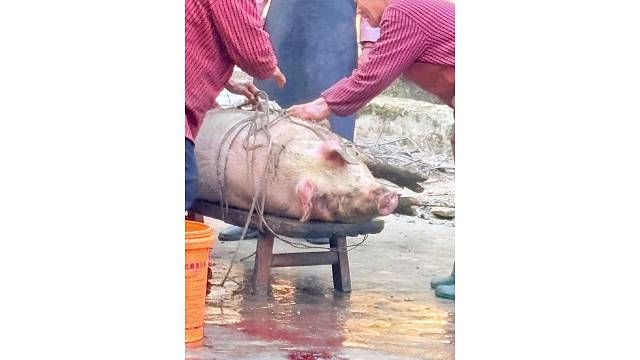 悲伤是你的，欢乐是大家的