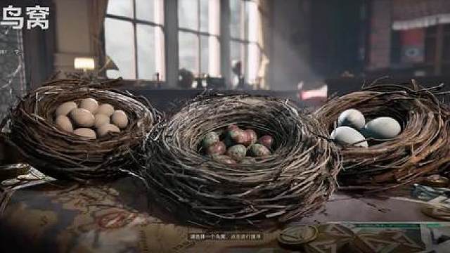 1月1日鸟蛋 三角洲行动幸运鸟窝活动来了