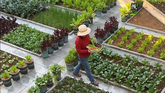 减少分享，过自己喜欢的生活