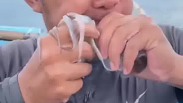 刚抓上船的鱿鱼，直接就吃，还挺脆嫩  ​