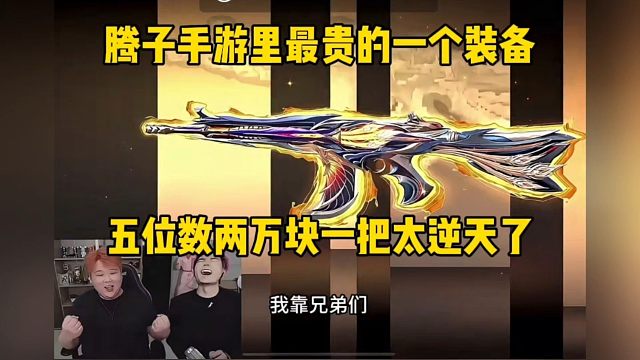 这大概是手游里最贵的装备了，王者吃鸡几千的皮肤都比不上