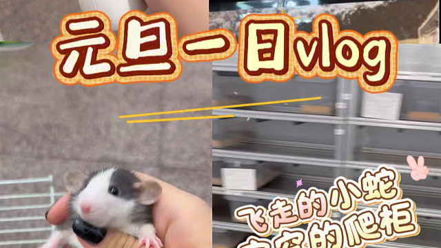 元旦的一天怎么度过在爬房