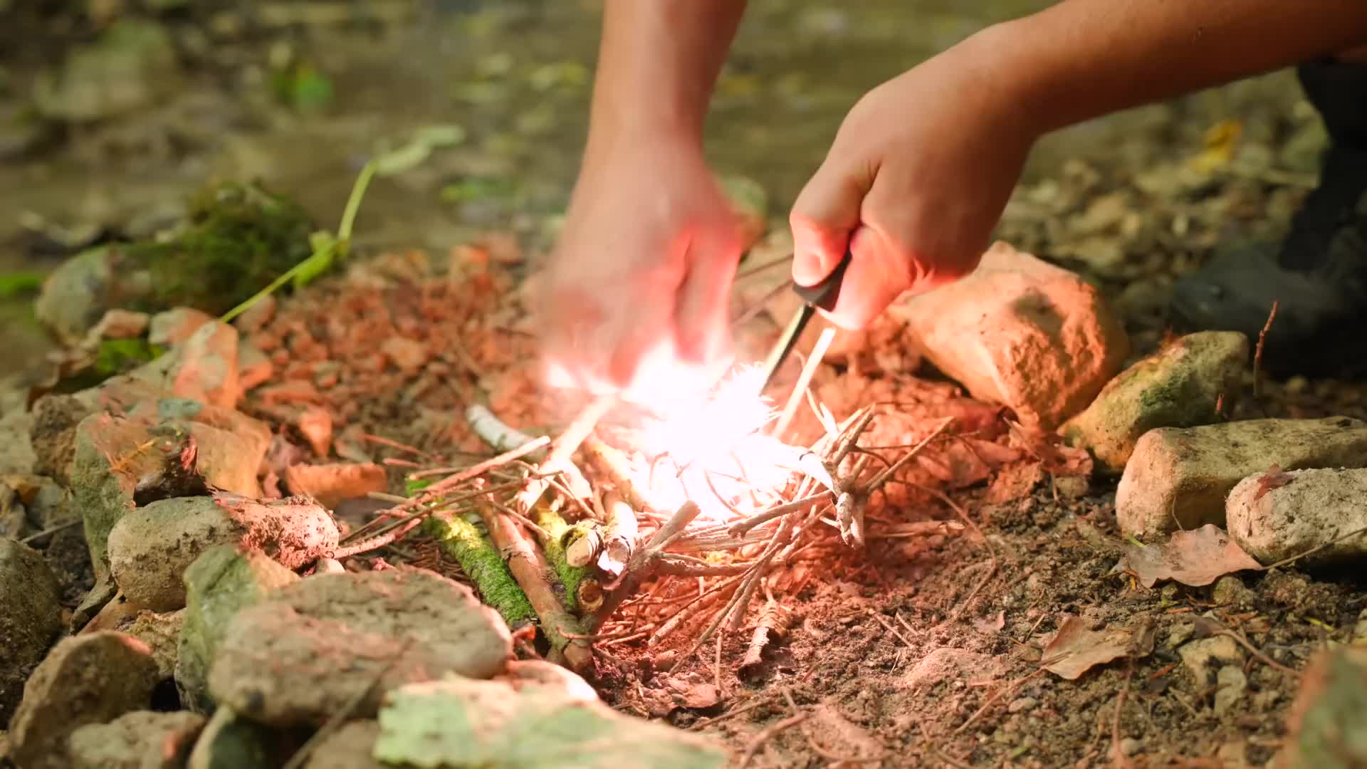 用采摘的树叶进行质朴的明火烘烤 - 丛林烹饪