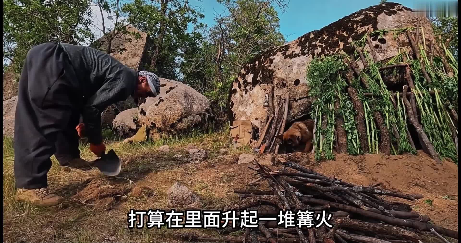解压-荒野建造 “铁柱带着两个狗宝，来到野外呼吸新鲜空气，在巨石之下搭建庇护所” (2)
