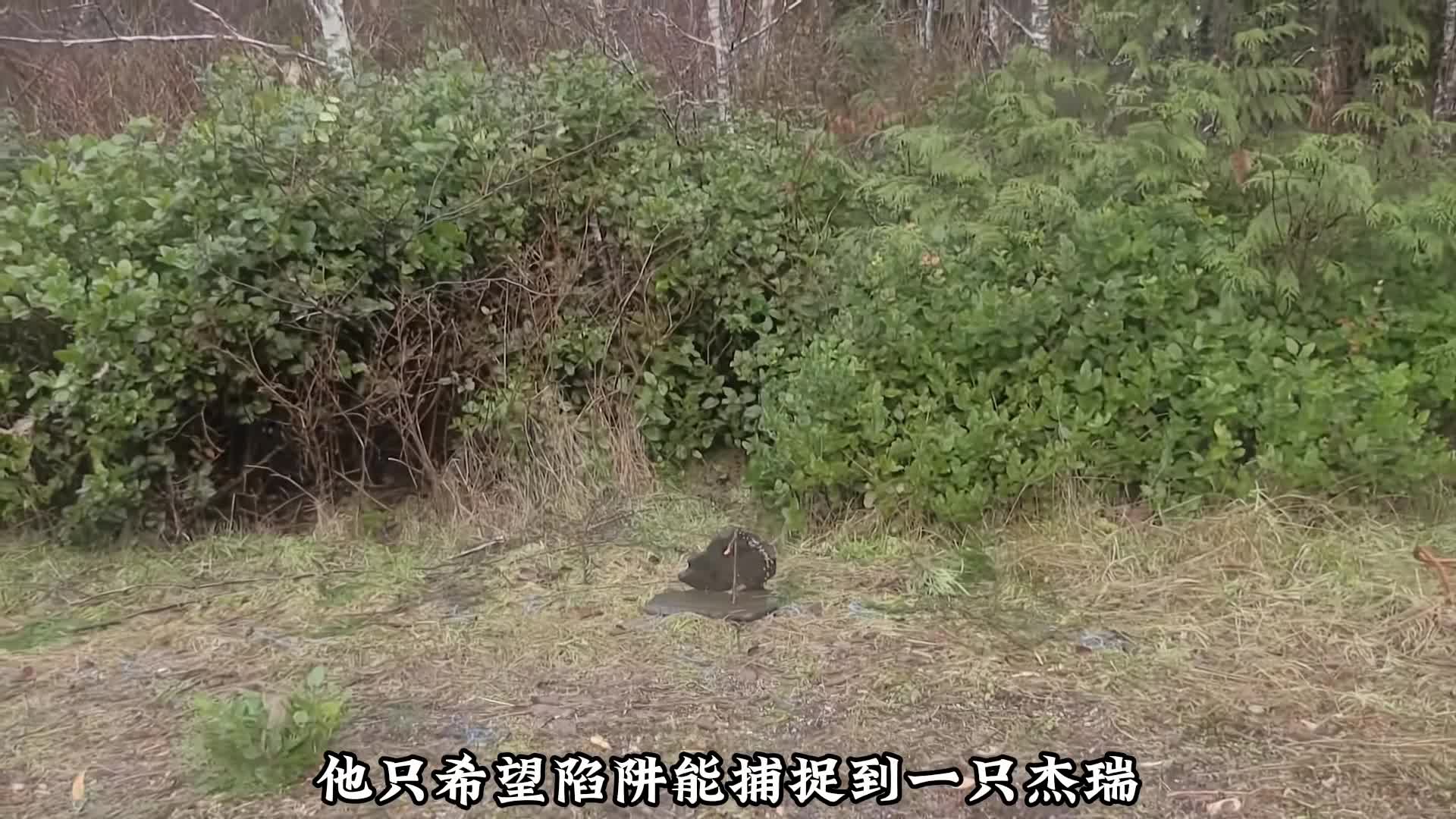 选手为乐一口食物拼劲全力  (3)